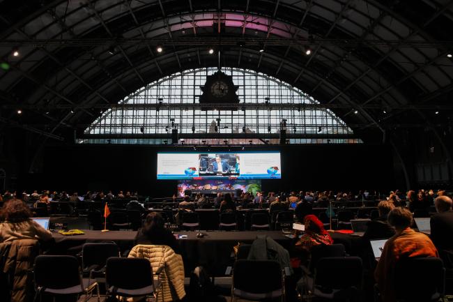 A view of the room during the plenary