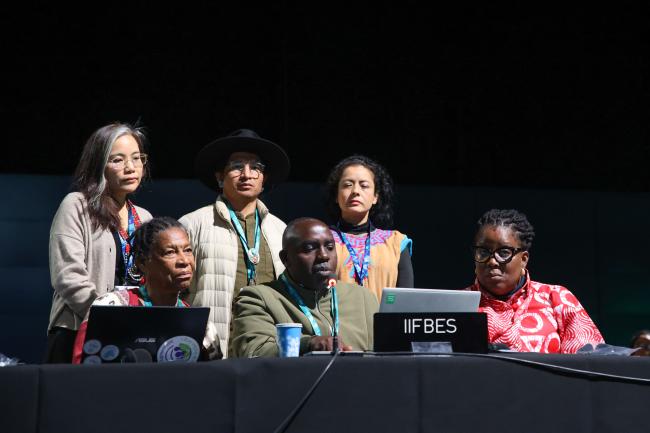 Representatives of the International Indigenous Forum on Biodiversity and Ecosystem Services (IIFBES) 