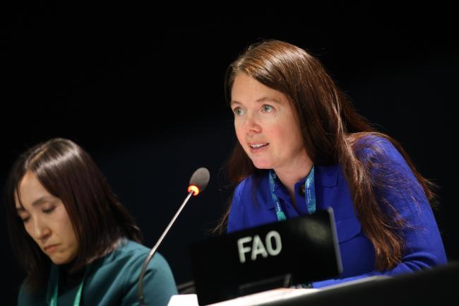 Julie Bélanger, FAO