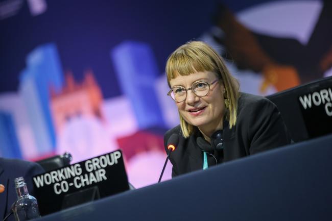 Eeva Primmer, Co-Chair of Working Group 1 