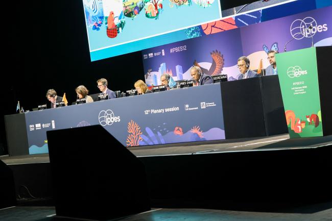 A view of the dais 