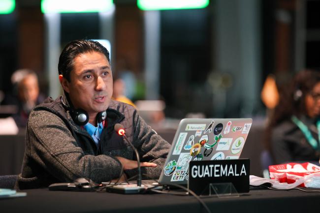 José Luis Echeverría Tello, Guatemala 