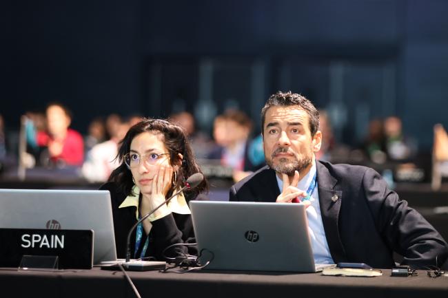 Delegates follow the negotiations. 