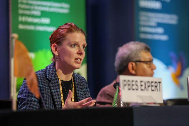 IPBES expert 