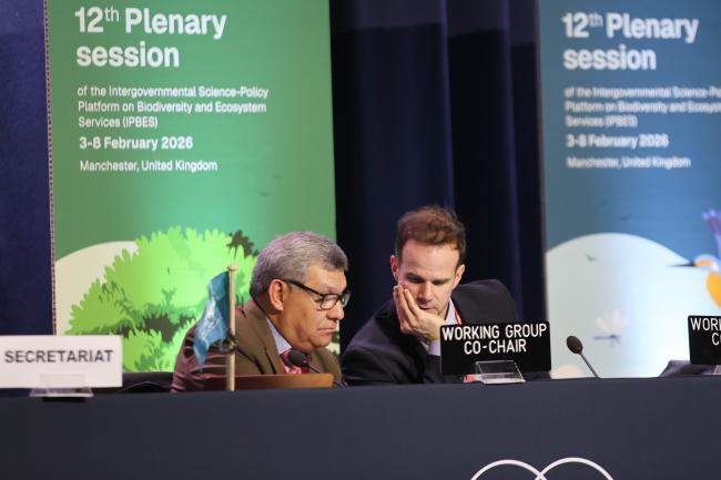 Hesiquio Benítez Díaz, Mexico, and Sebastian König, Switzerland, Co-Chairs of Working Group 2