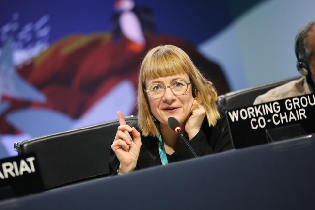 Eeva Primmer, Co-Chair of Working Group 1