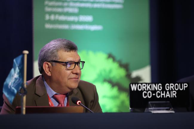 Hesiquio Benítez Díaz, Mexico, Co-Chair of Working Group 2 