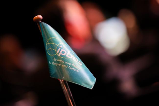 ipbes flag 