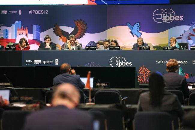A view of the dais during Working Group 1 