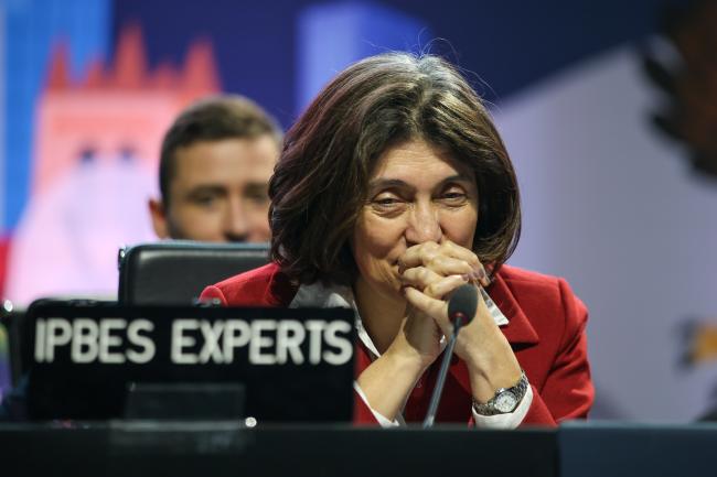 Ximena Rueda Fajardo, Co-Chair of the Business and Biodiversity assessment report 