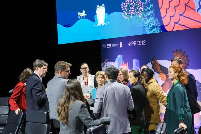 IPBES Experts consult at the end of the afternoon session. 