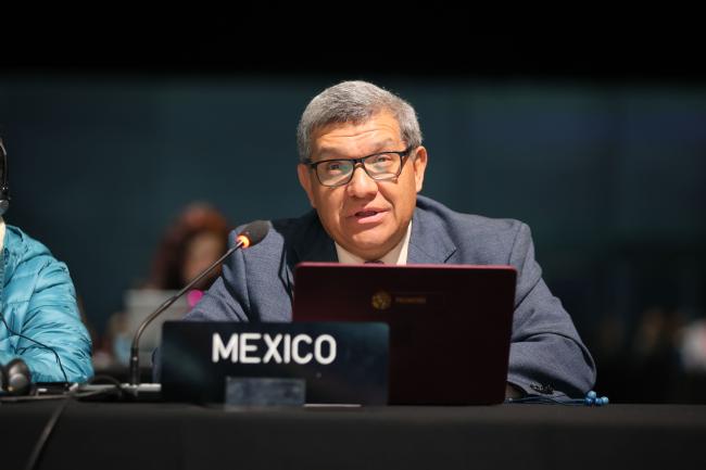Hesiquio Benítez Díaz, Mexico, Co-Chair of Working Group 2