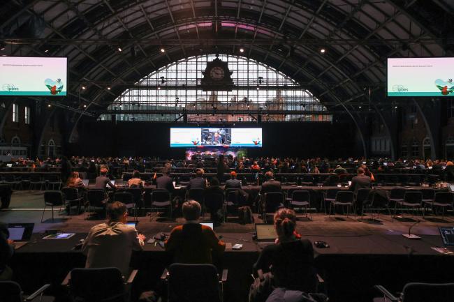 A view of the room during the morning plenary session 