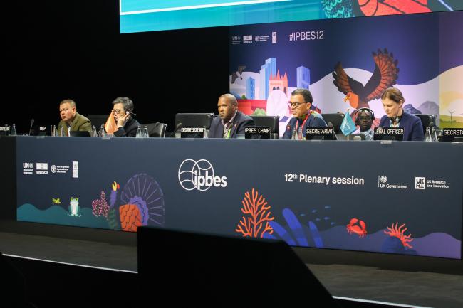 A view of the dais during the plenary session 