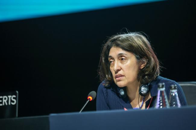 Ximena Rueda Fajardo, Co-Chair of the Business and Biodiversity Assessment 