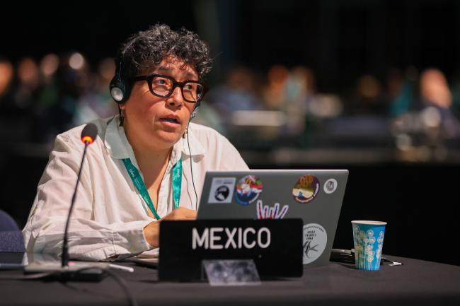 María Andrea Orjuela Restrepo, Mexico