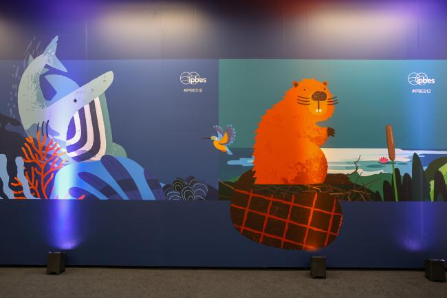 IPBES 12 branding