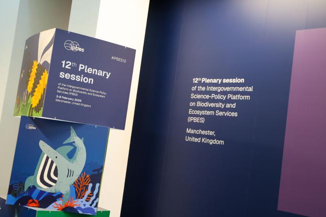 IPBES 12 branding 