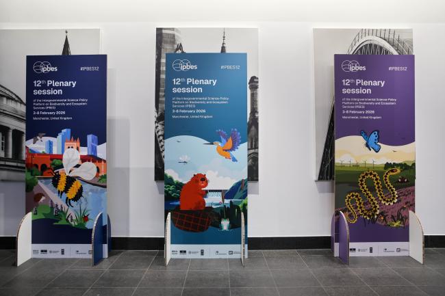 IPBES 12 branding 
