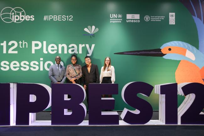 IPBES 12 IT team 