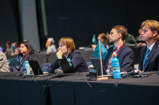 Delegates listen to the discussions. 