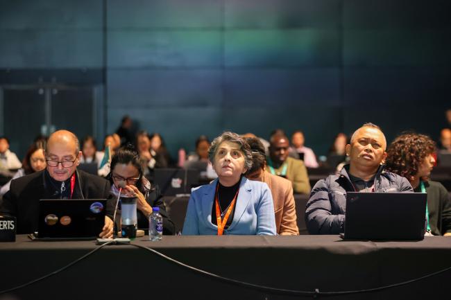 Delegates look at the screens during the morning plenary session.
