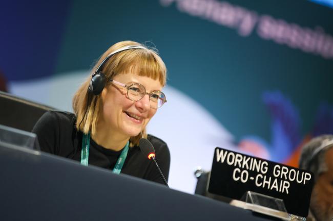 Eeva Primmer, Co-Chair of Working Group 1