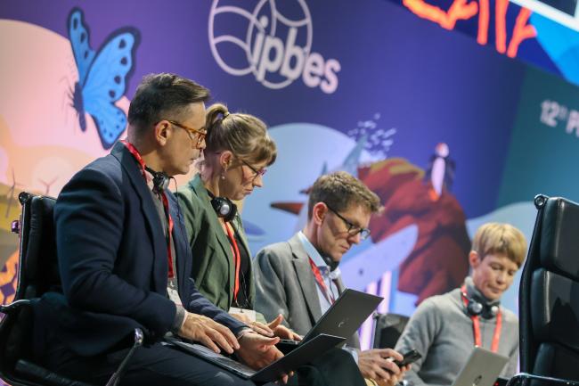 Authors of the Business and Biodiversity Assessment 