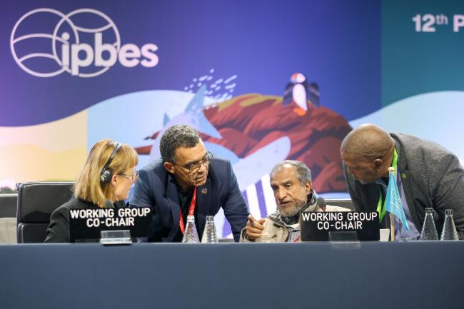 IPBES Chair David Obura consults with the Co-Chairs of Working Group 1 and IPBES Executive Secretary Luthando Dziba