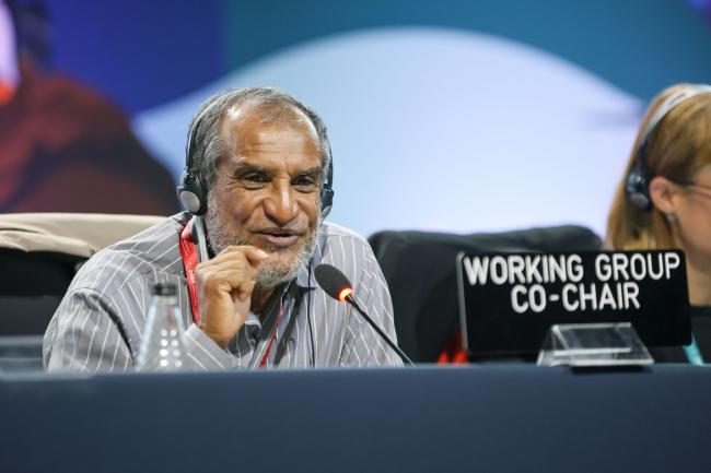Floyd Homer, Co-Chair of Working Group 1