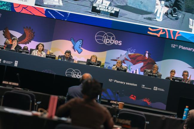 A view of the dais 
