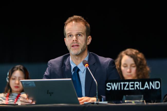 Sebastian König, Co-Chair of Working Group 2, reports back to the plenary. 