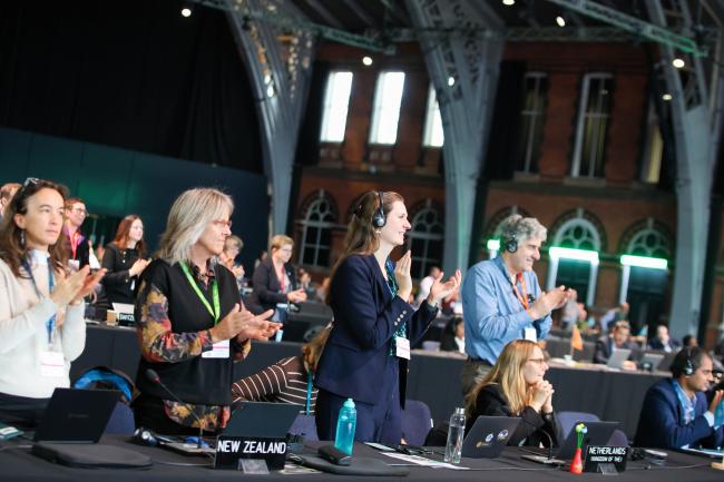 Delegates applaud following the approval of the Business and Biodiversity Assessment report. 