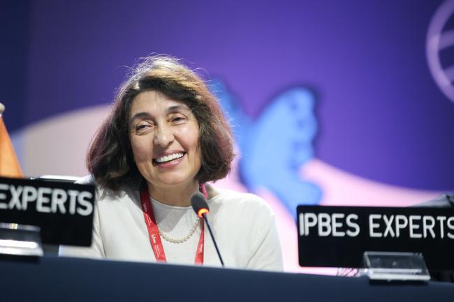 Ximena Rueda Fajardo, Co-Chair of the Business and Biodiversity Assessment 