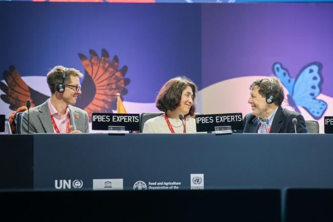 Co-Chairs of the Business and Biodiversity Assessment 