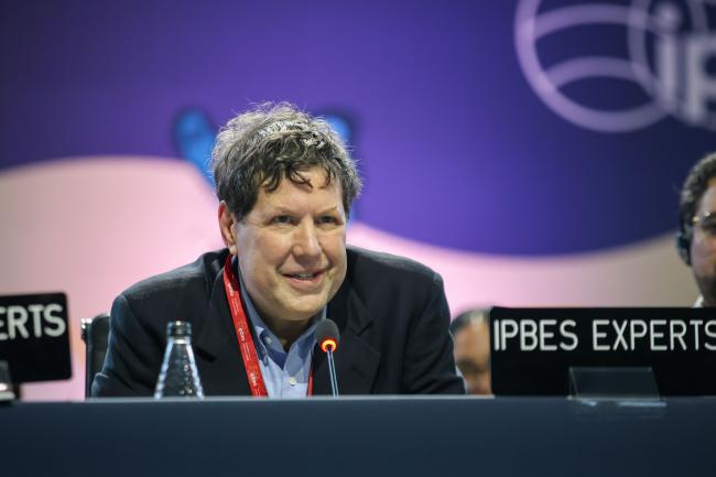 Steve Polasky, Co-Chair of the Business and Biodiversity Assessment