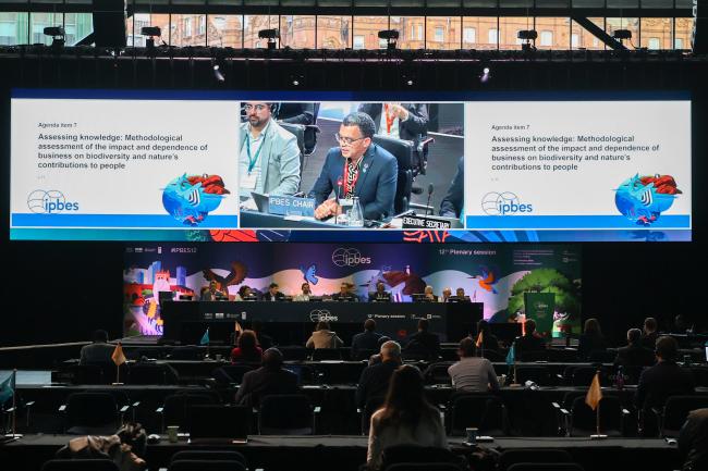 A view of the room during the morning plenary 