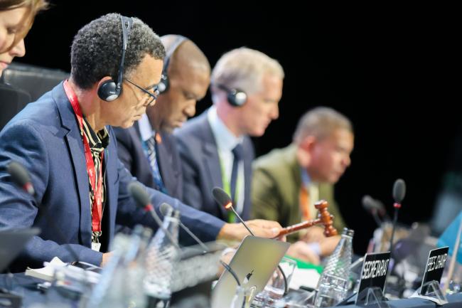 IPBES Chair David Obura, gavels the approval of various agenda items.