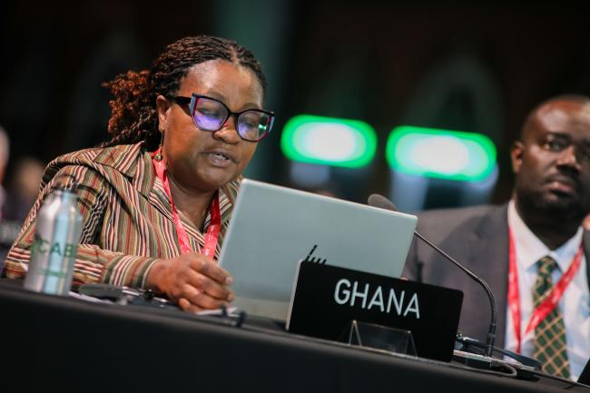 Jewel Kudjawu, Ghana, on behalf of the African Group 