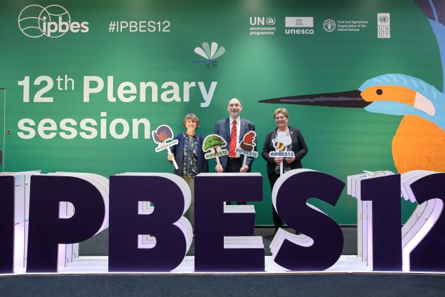 Delegates from Sweden 