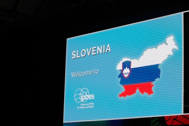 Slovenia 