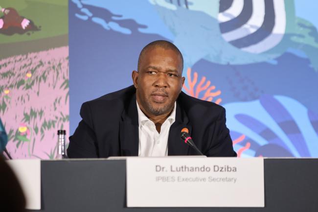 Luthando Dziba, IPBES Executive Secretary 