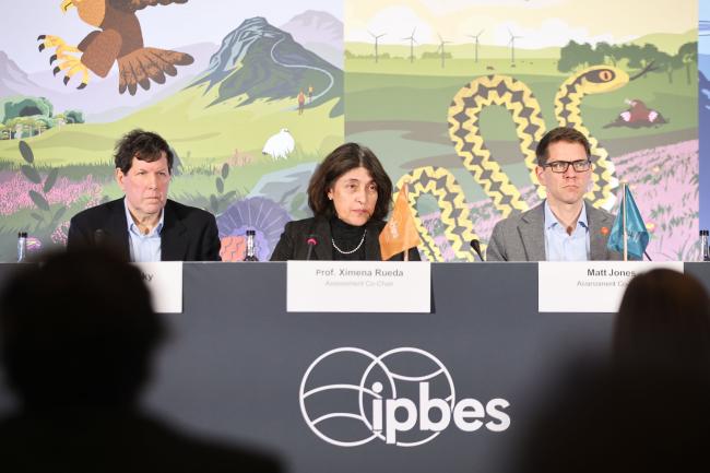 Co-Chairs of the Business and Biodiversity Assessment 