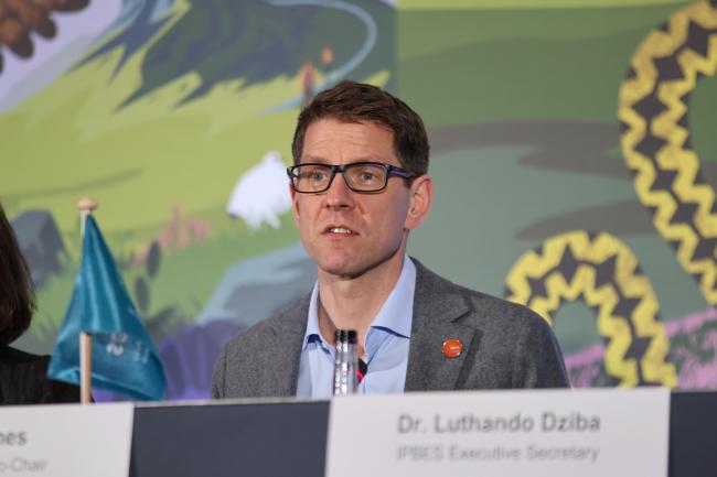 Matt Jones, Co-Chair of the Business and Biodiversity Assessment