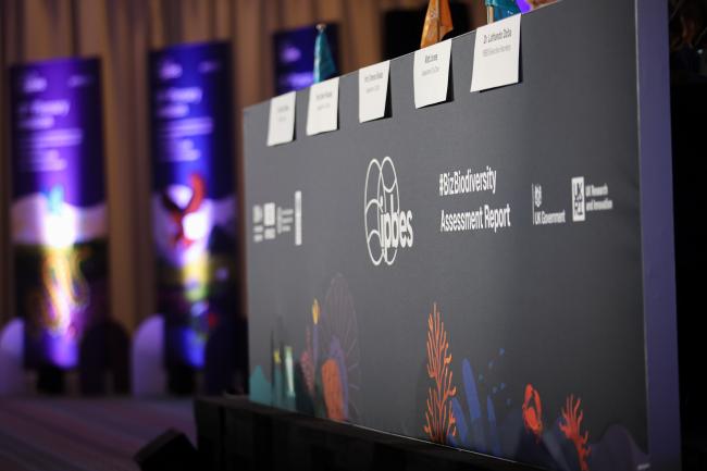 IPBES BizBiodiversity 