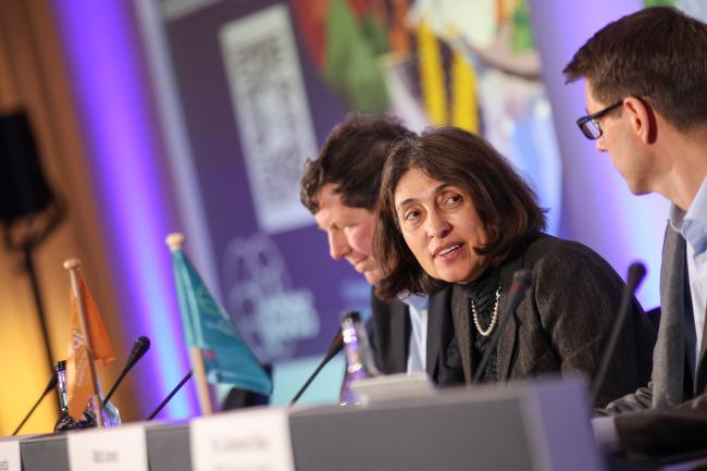 Ximena Rueda Fajardo, Co-Chair of the Business and Biodiversity Assessment 