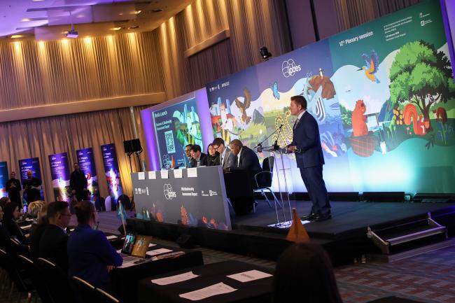 A view of the panel 