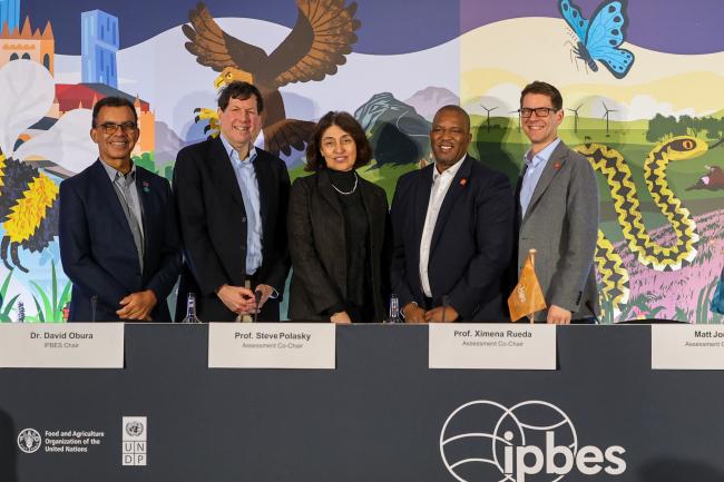 L-R: IPBES Chair David Obura, Steve Polasky, Ximena Rueda Fajardo, Co-Chairs of the Business and Biodiversity Assessment, IPBES Executive Secretary Luthando Dziba, and Matt Jones, Co-Chair of the Business and Biodiversity Assessment 