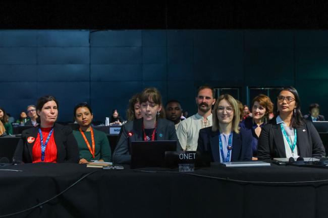 Franziska Fischer (center) and representatives of the Open-ended Network of IPBES Stakeholders (ONet) 