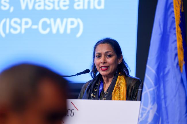 Nalini Sharma, UNEP
